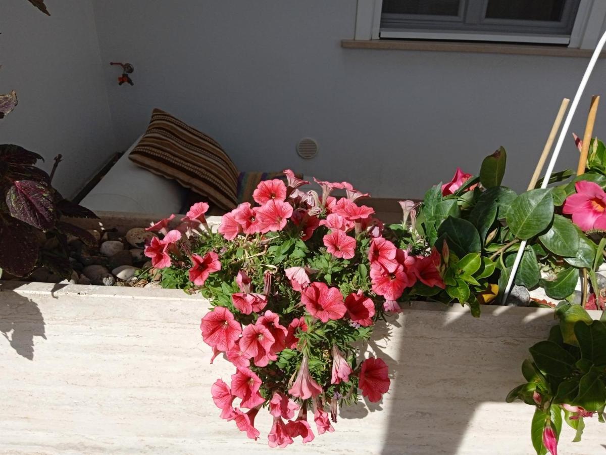 La Casa Di Elena Daire Sannicandro di Bari Dış mekan fotoğraf