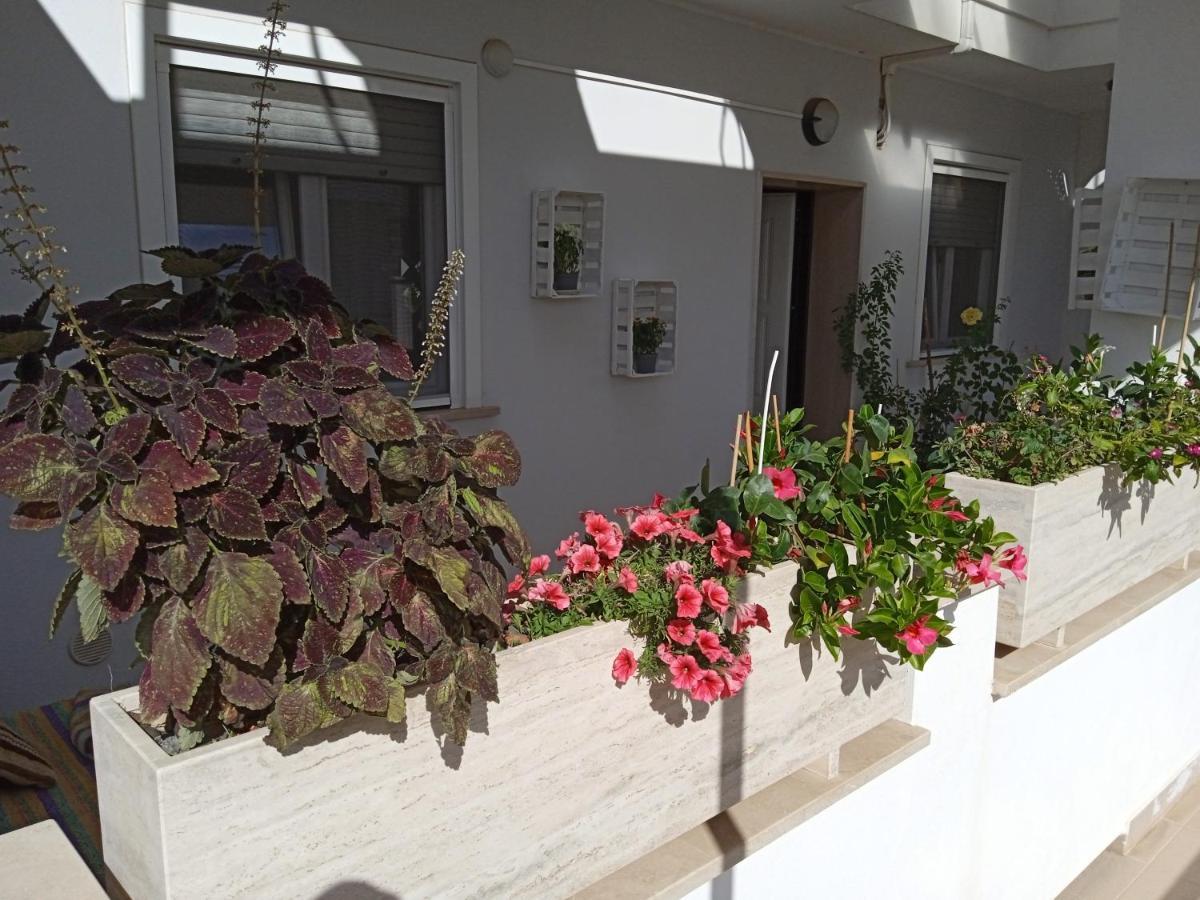 La Casa Di Elena Daire Sannicandro di Bari Dış mekan fotoğraf